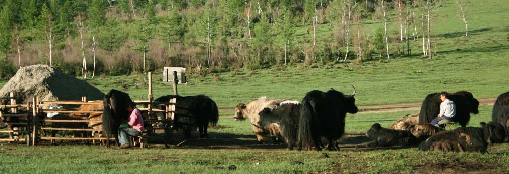 Nomadic Family Stay Mongolia