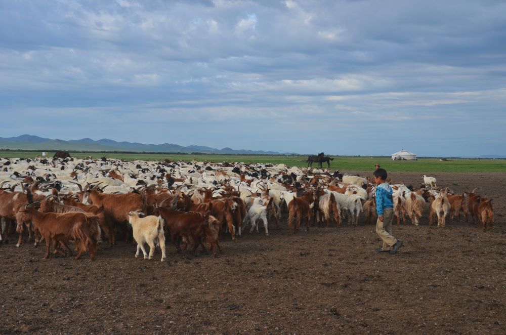 Nomadic Family Experiences